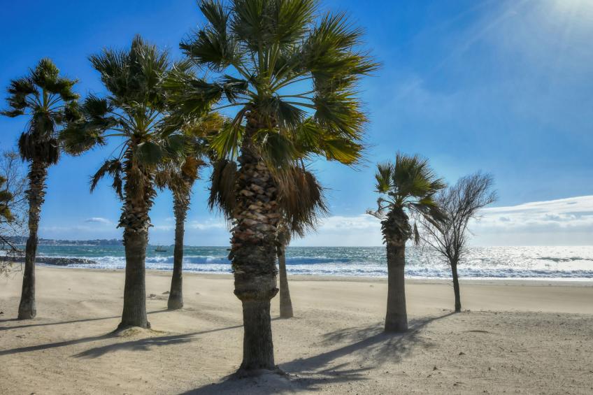 Rive Gauche - foto 23