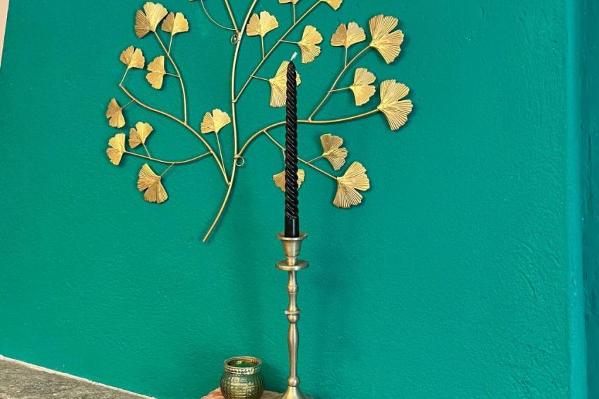 Typisches Bauernhaus mit holzbefeuertem Kamin - foto 27