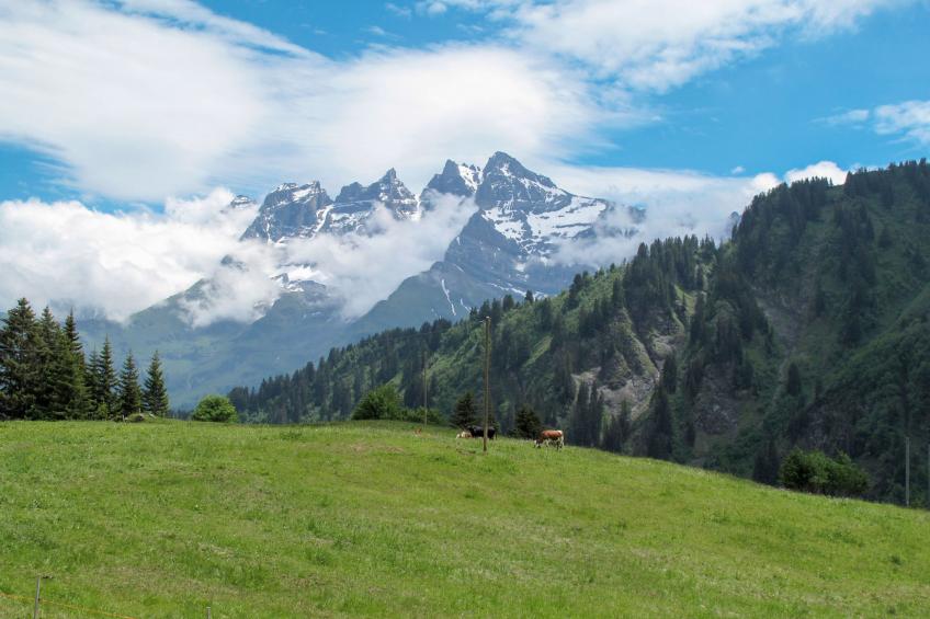 Chalet "Ecureuil" in den Portes du Soleil im Wallis - foto 48