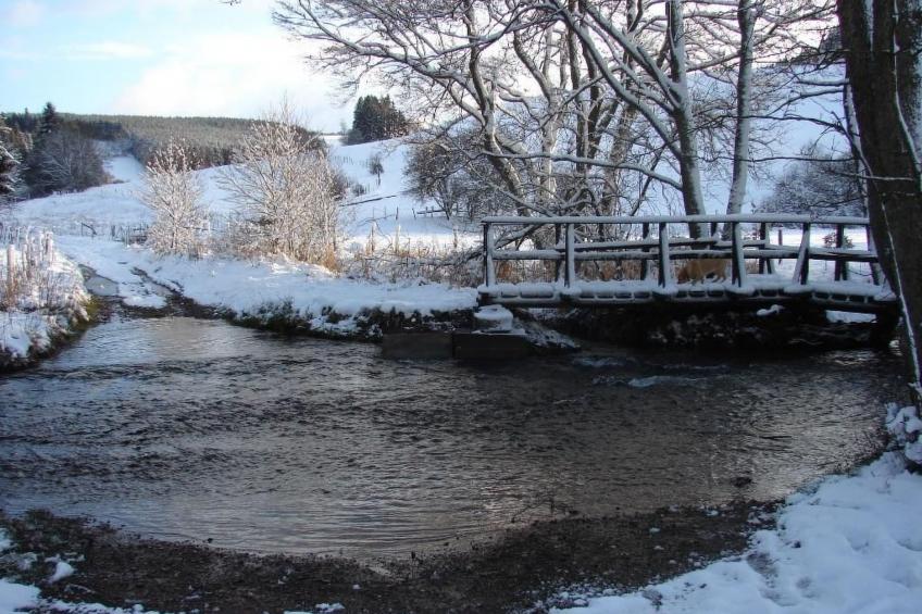 Snowview Lodge - foto 39