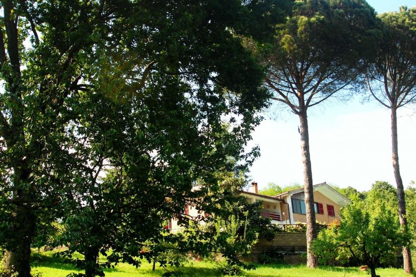 Villa 'Der Kirschbaum' - foto 4