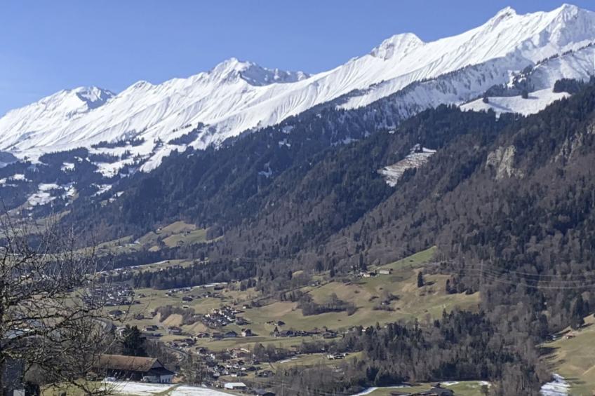 Gartenstudio "Belle Vue" - foto 11