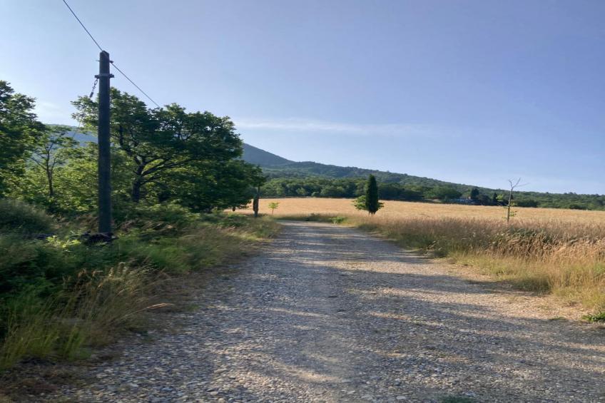 La Bergerie - foto 16