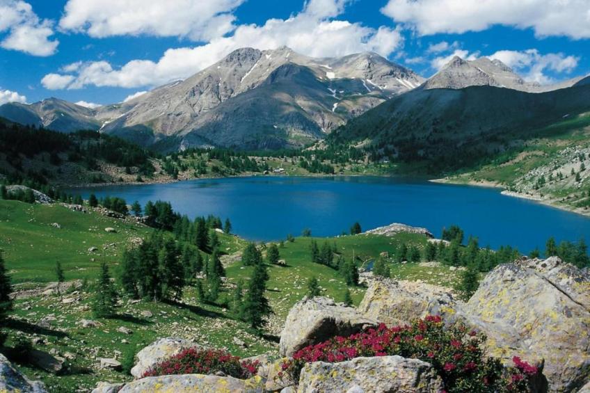 C. DU VERDON N°2301 - 2P6C - foto 15