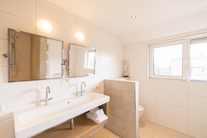 Alegria (9p) - foto 25