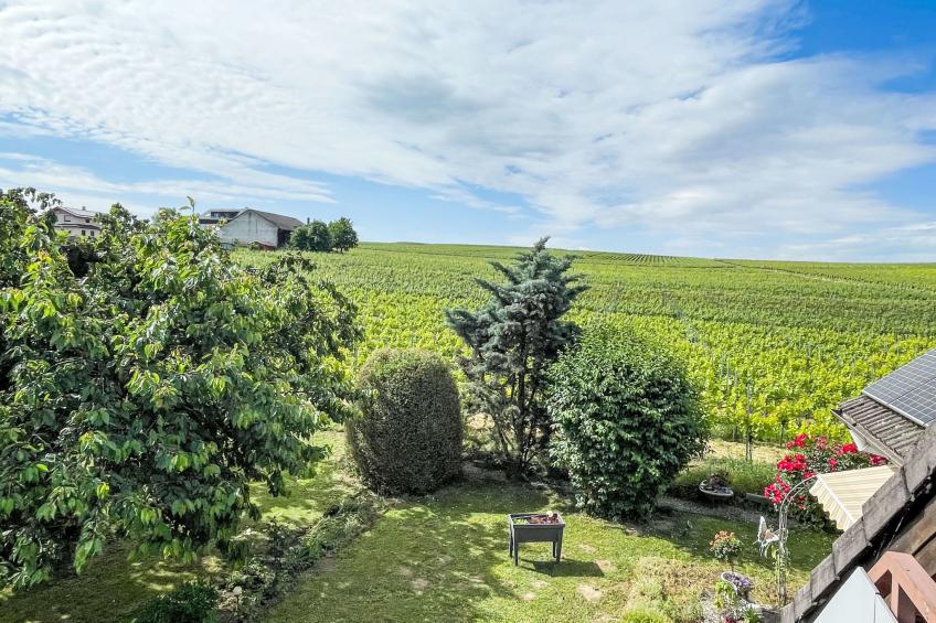 Weinbergblick - foto 7