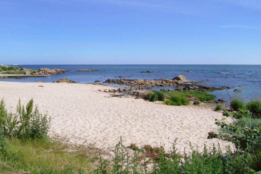FJELDET - foto 14