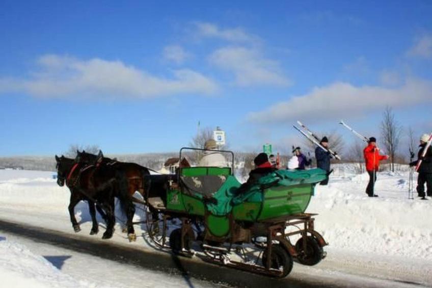 Fewo Katzengold - foto 14