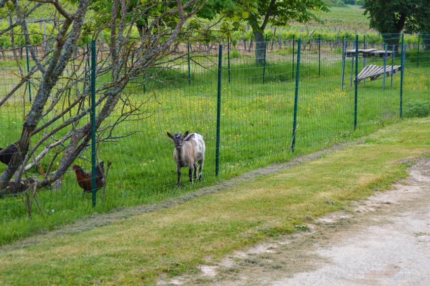 Gîte avec piscine privée belles vues - foto 25
