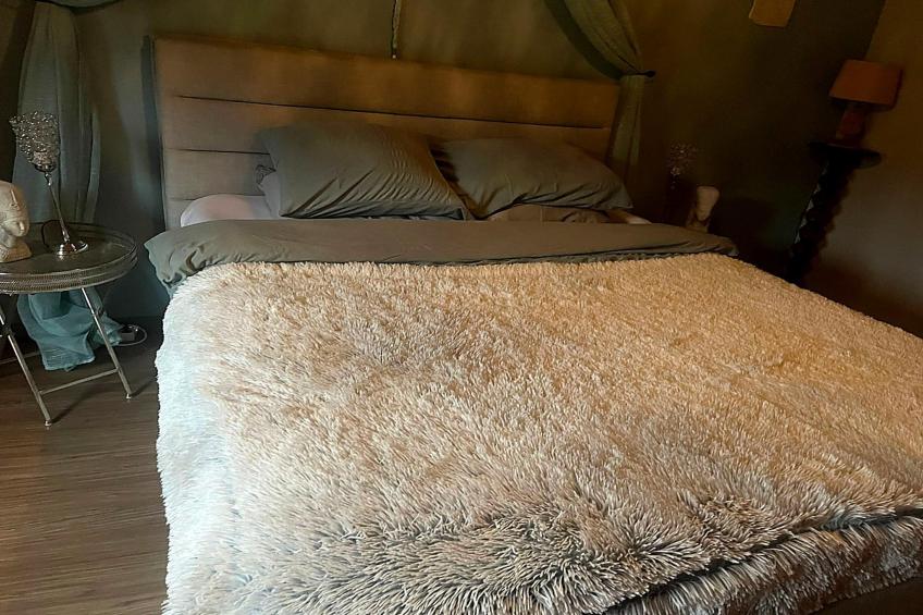 Hondvriendelijke woning met sauna en jacuzzi - foto 12