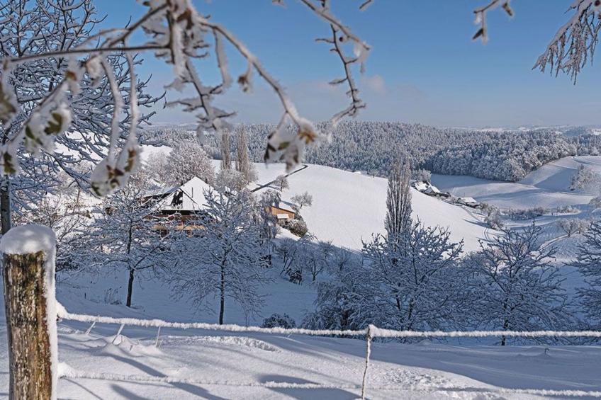 Eggenhof Ferien - foto 22