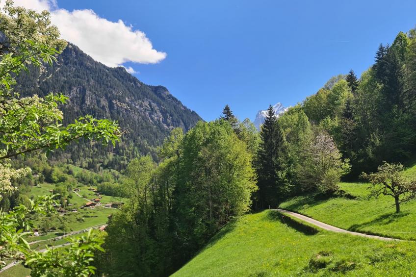 FF Bergmomente - foto 14