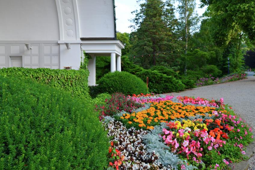 Am Ferienbauernhof - foto 40