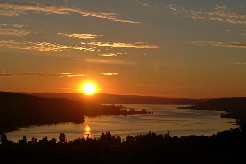 Tieroase Grünegg - foto 20