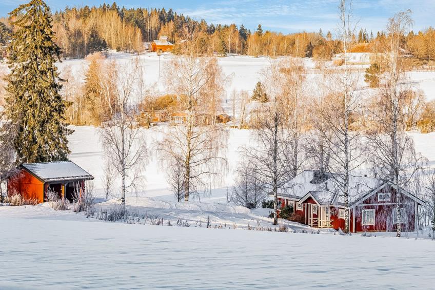 Peltosirkku, seeteri - foto 6