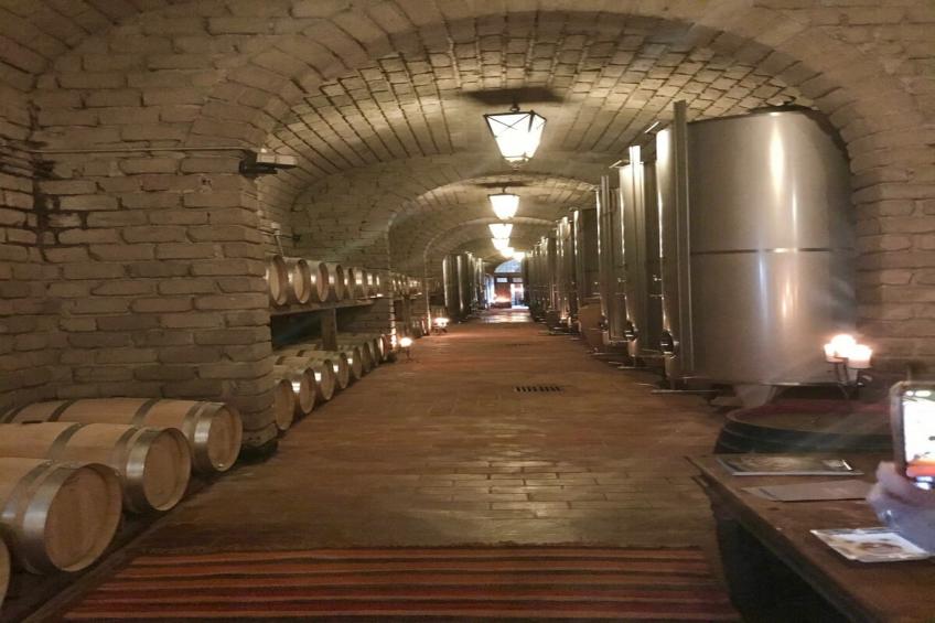 Villa Vinarte - foto 59