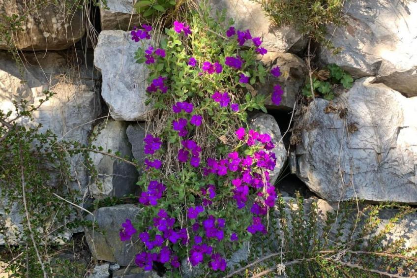Chalet Mahli in Saas bei Klosters - foto 5