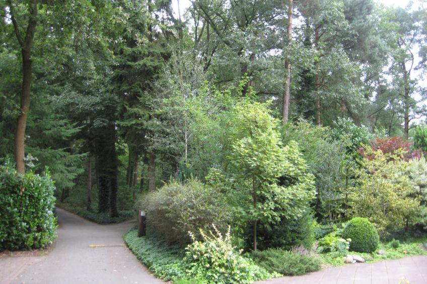 Bosrijk Ruighenrode - foto 15