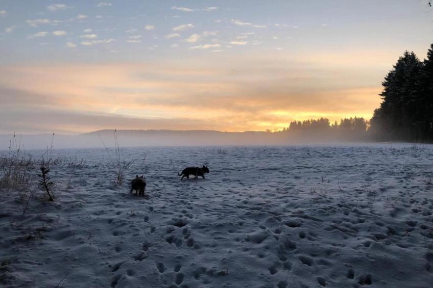 Ferienwohnung an der Talsperre Rauschenbach - foto 39