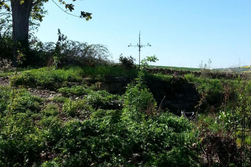 in Weenzen mit Großem Garten - foto 27