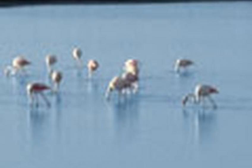 Casa Carmen - foto 14