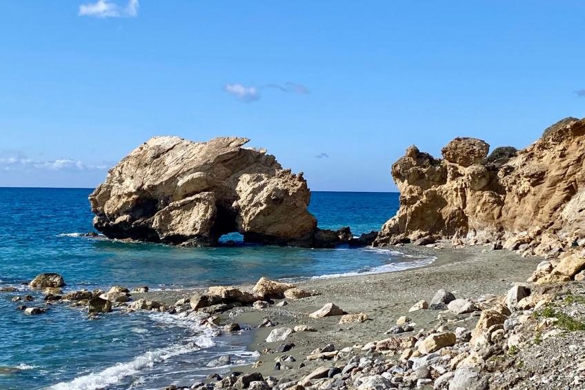 Spiti Papaya - foto 25