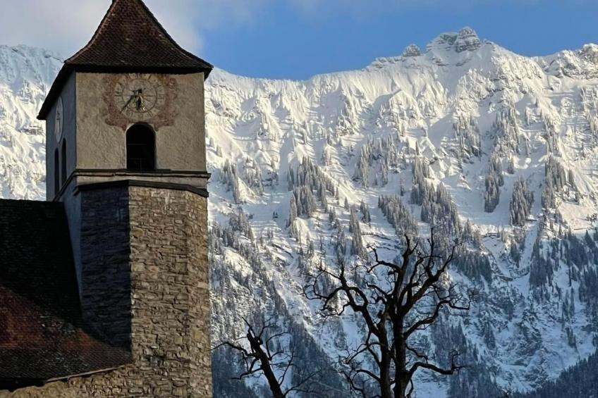 Chalet-Hausteil mit Garten im Dorfkern - foto 16