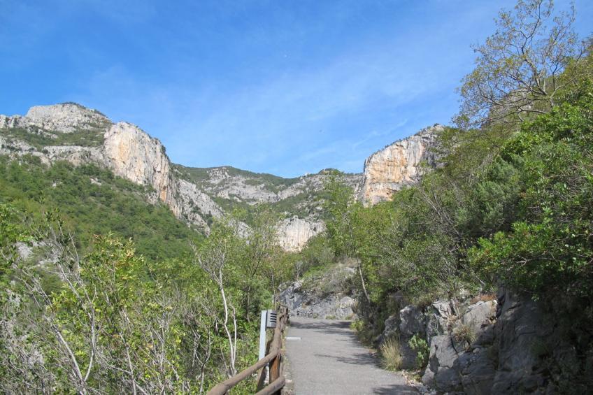 Gelsomino - foto 17