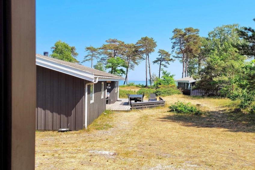 FUGLEKONGEN - foto 16