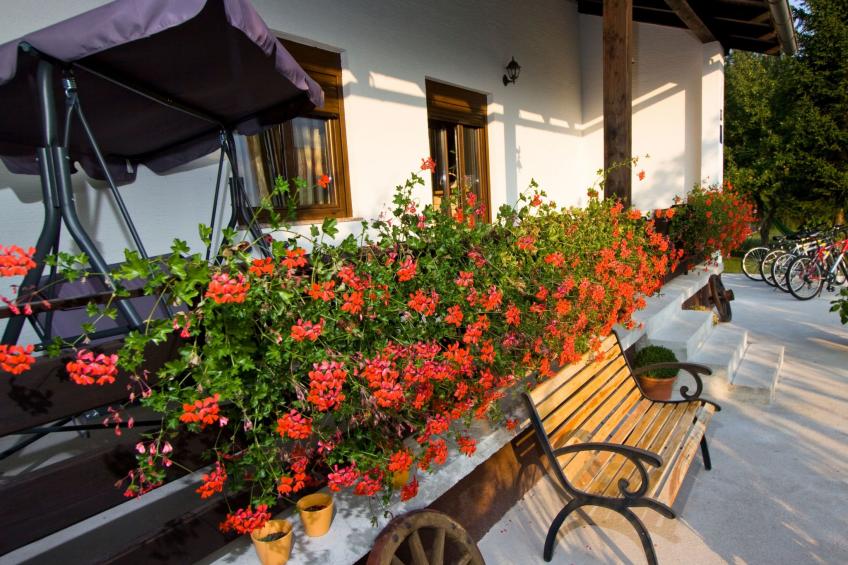 mit Garten, Grill und Terrasse - foto 14