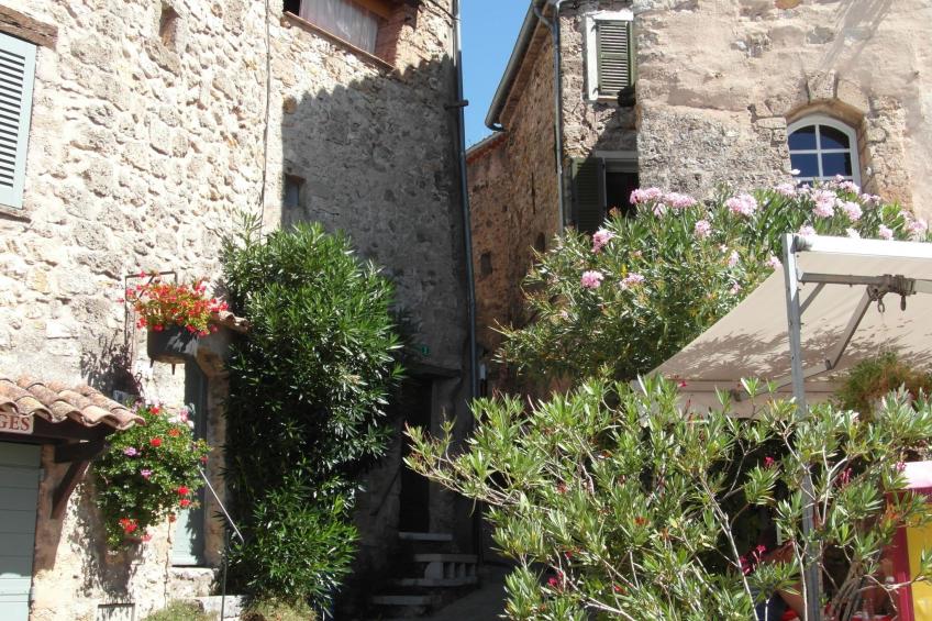 pin parasol - foto 42