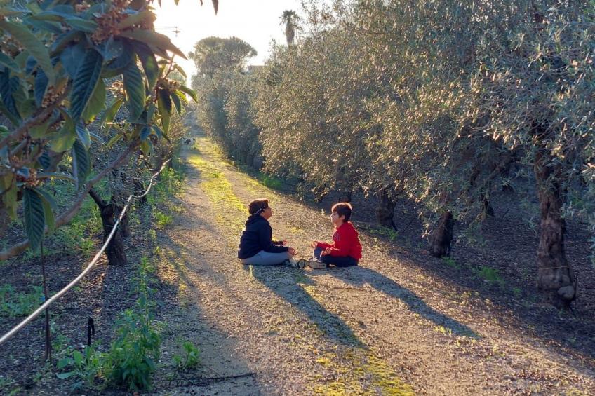 Entspannung, Meer, Natur, Kultur - foto 18