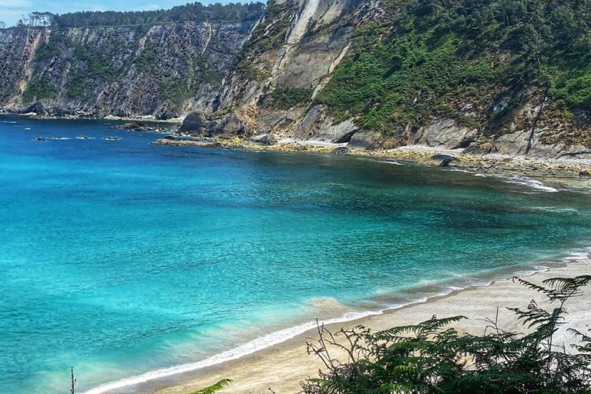 Ländliches Anwesen "Mar y Montaña" (Meer und Berge) - foto 11