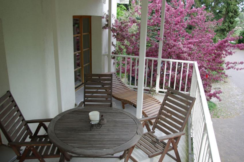 Waldblick - foto 21