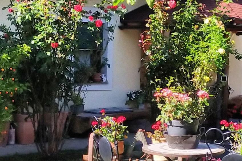 Idyllische Panorama-Südwohnung in Wörtherseenähe - foto 14