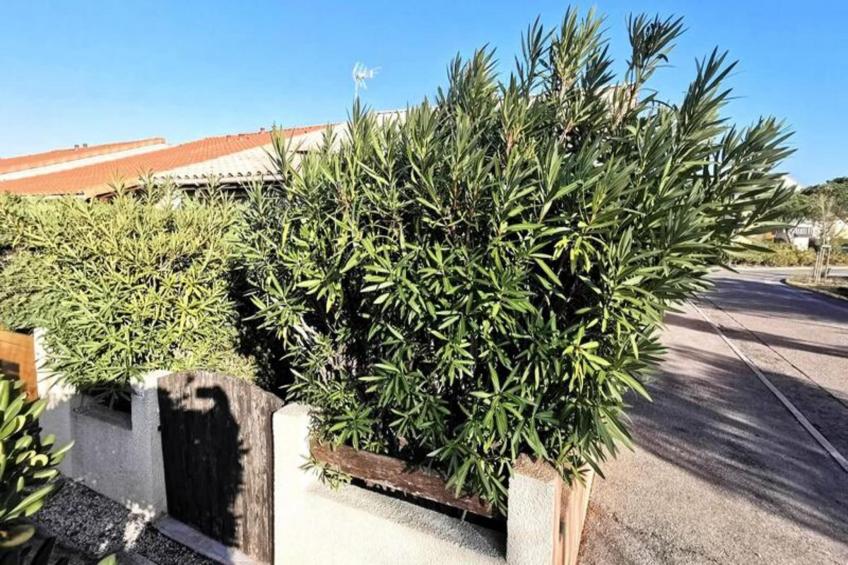 Résidence Maisons De La Plage - foto 7