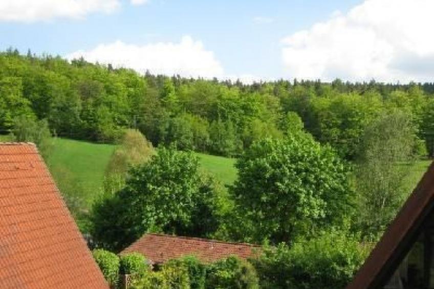 Wunderschönes Ferienhaus im Herzen der Natur - foto 9