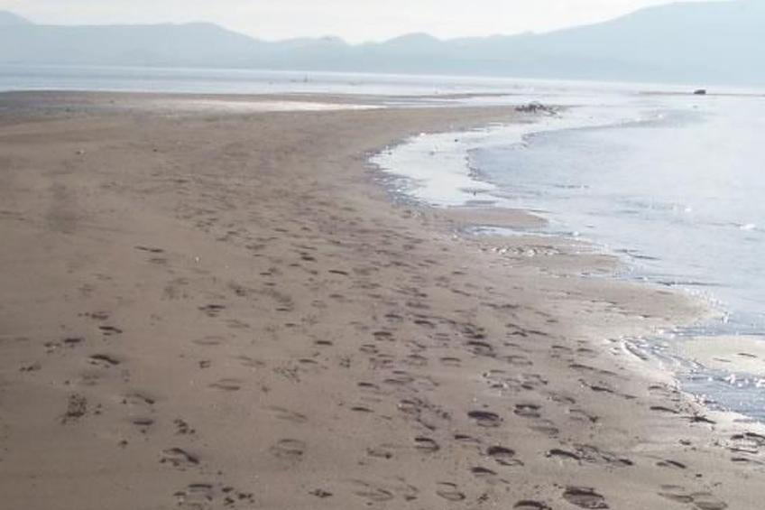 Ferien apart. für 8 - foto 10