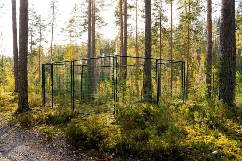 Villa tunturitervakko - foto 33