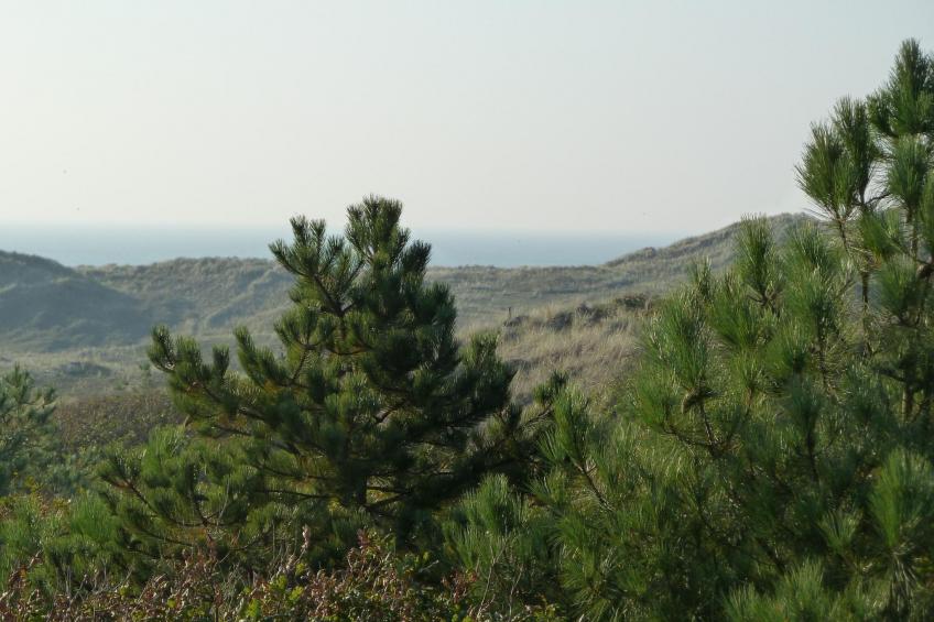 Lisakowski-Dorn - foto 14