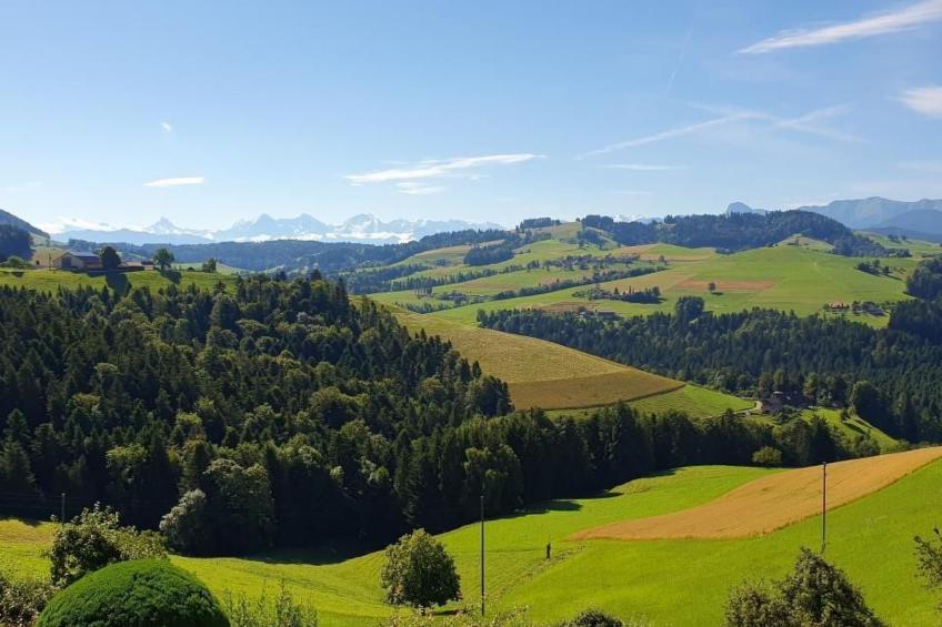 in einem heimeligen Berner-Stöckli - foto 21