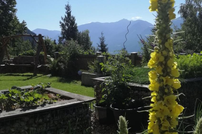 Waldpension Ranner - foto 17