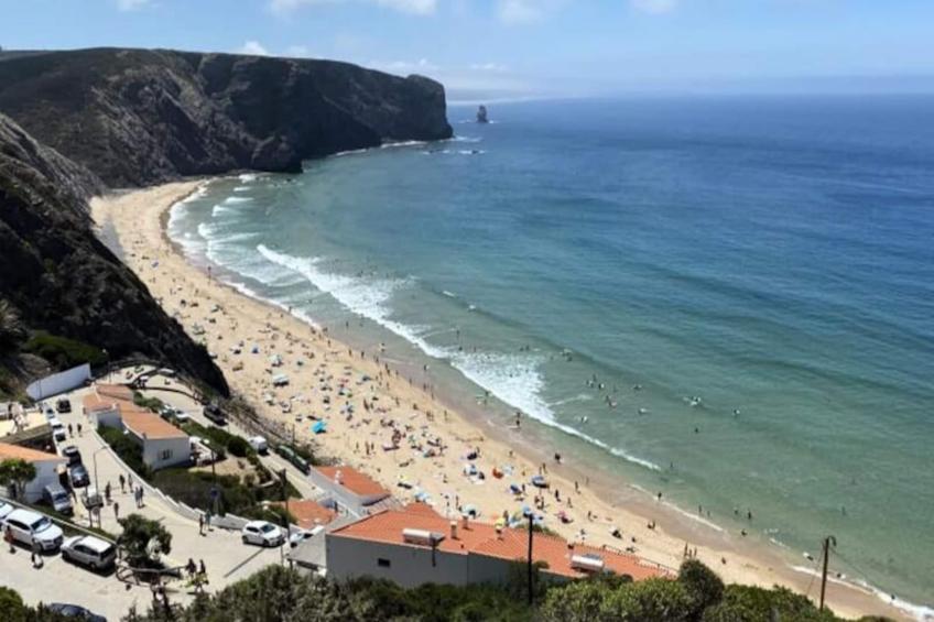 Duas Palmeiras - foto 60