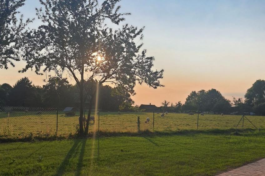 Le Pressoir de mon Père vor den Toren von Honfleur - foto 20