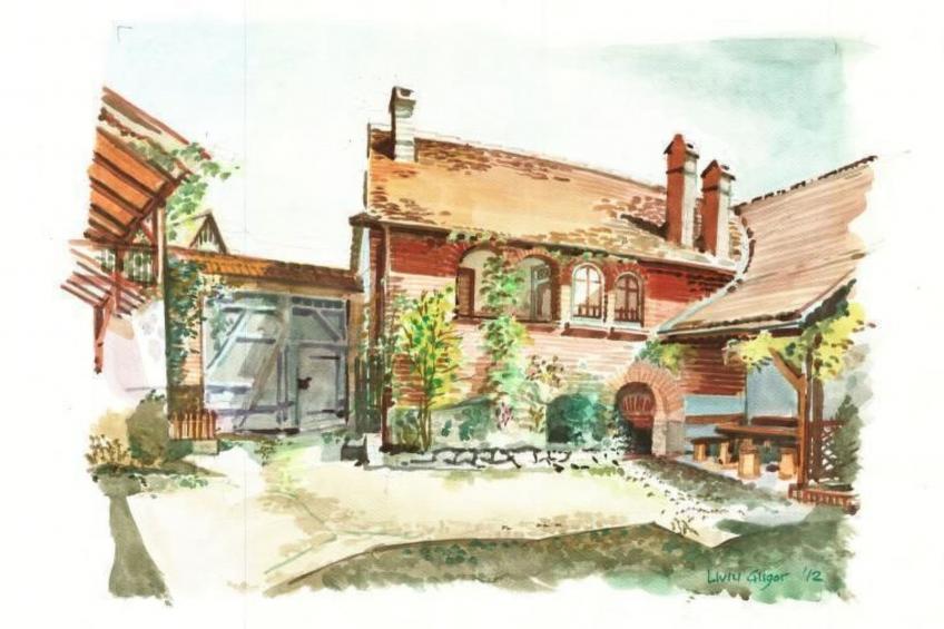 Casa Nicu - traditionelles Landhaus in Hirtendorf - foto 14