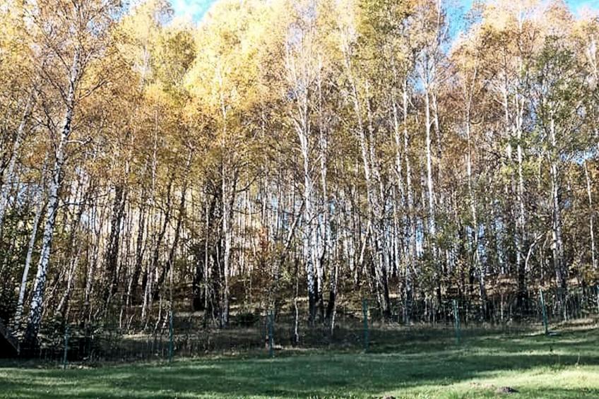 Schönes Ferienhaus in Breze mit Eigenem Balkon - foto 46