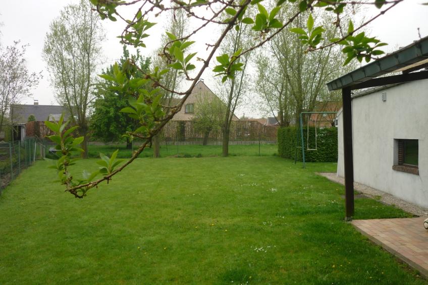 De Snoeibijl - foto 37