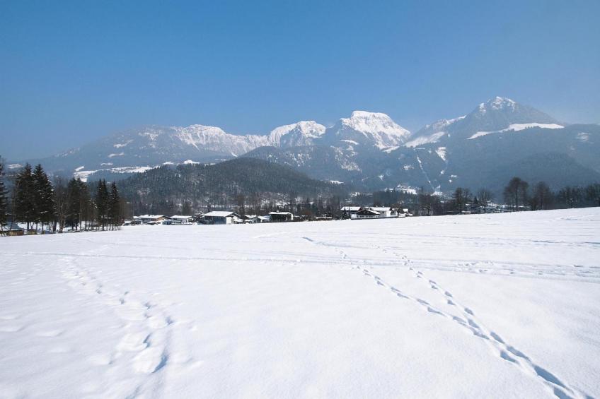 Apartments Toni Schönau am Königssee-Göll Wohnung  3 45 qm - foto 12