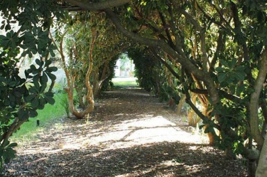 mit Privatparkplatz - foto 26