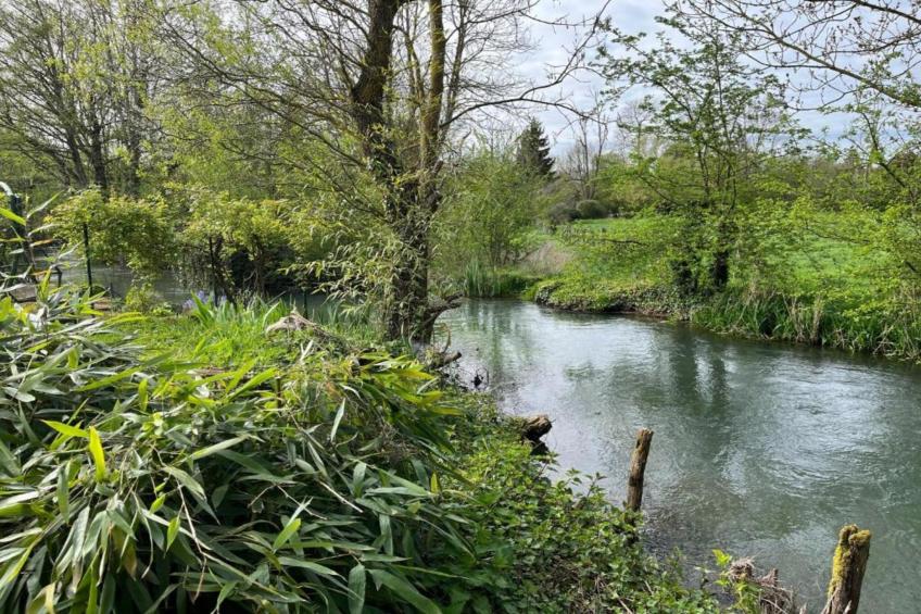 Maison de vacances - DIGES - foto 39